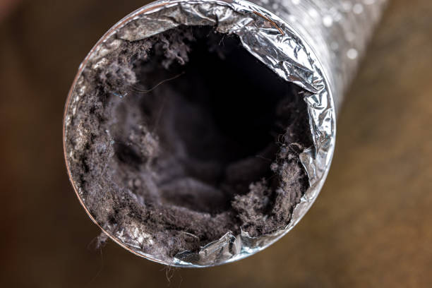 Best Air Duct Inspection  in Pelham Manor, NY